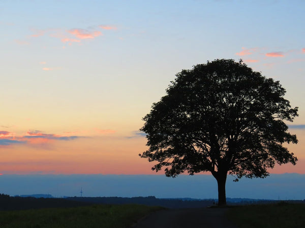 Dekoobjekt LEBENSBAUM Deko Baum Holz Metall Silber Objekt zum hinstellen Familie Natur (Lebensbaum)