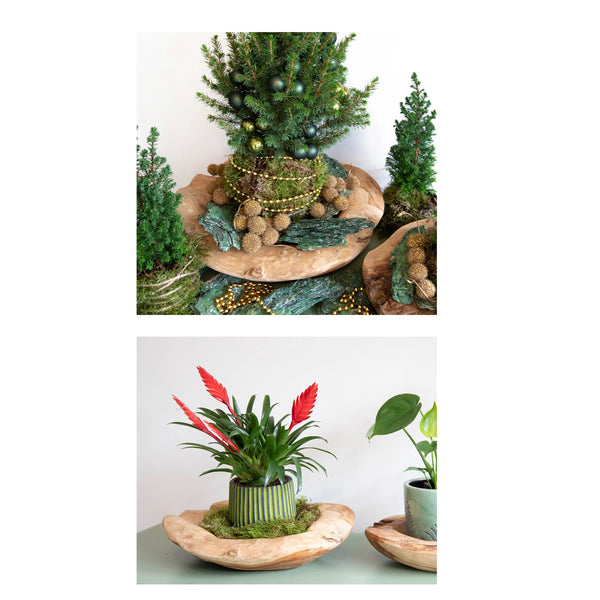 LB H&F Teakschale Dekoschale Holzschale Teak Schale Obstschale Schmuckschale ca. Ø 30 cm massiv
