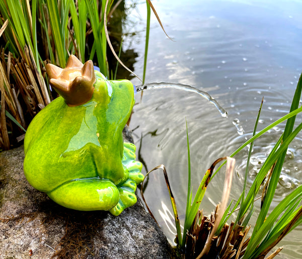 LB H&F Wasserspeier Froschkönig Miniteich mit Pumpe Teichfigur Frosch Deko Wasserspiel Gartenfrosch Gartenteich Terrasse/Balkon