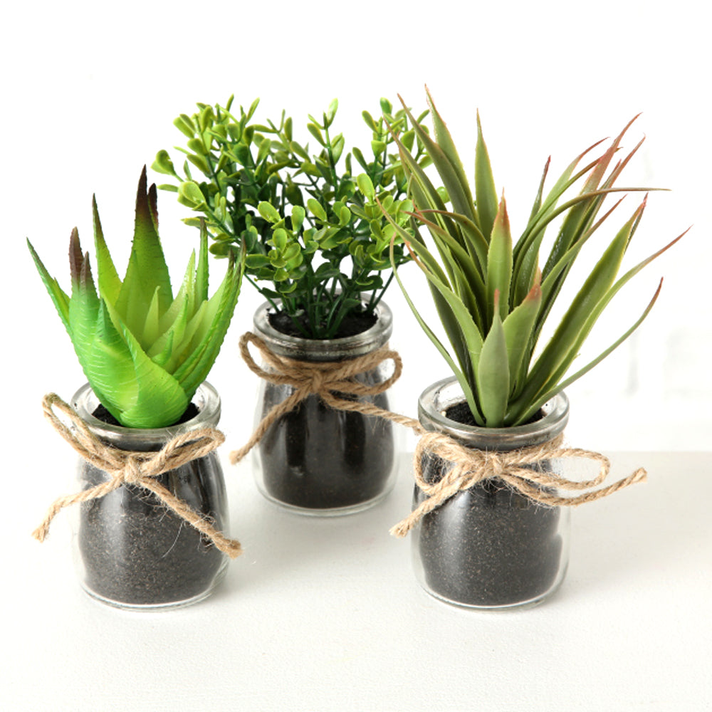 LB H&F 3er Set künstliche Pflanzen Sukkulenten Kunstpflanze als Dekopflanze mit Glastopf Deko