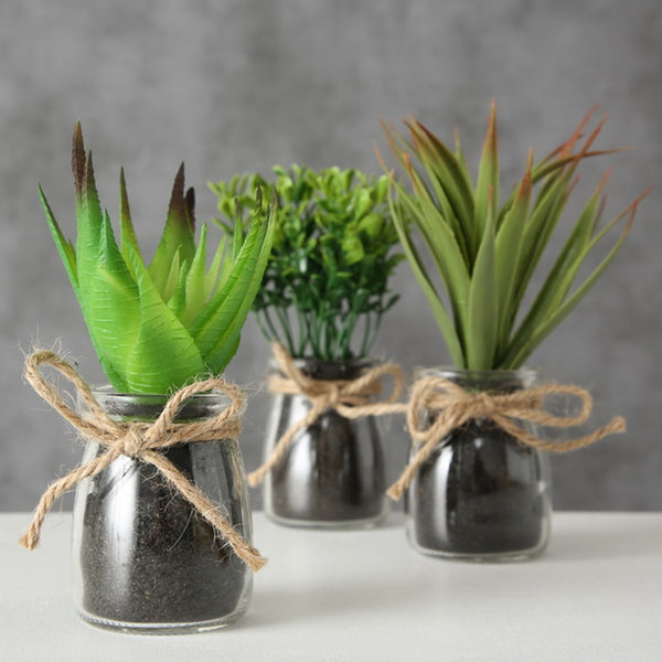 LB H&F 3er Set künstliche Pflanzen Sukkulenten Kunstpflanze als Dekopflanze mit Glastopf Deko