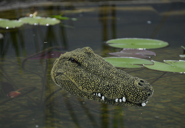 LB H&F Teichfigur Dekofigur Krokodil Schwimmtier Figur 24x12cm Tierfigur Gartenteich Miniteich grün Teichdeko Krokodilkopf Pool Teich Gartendeko